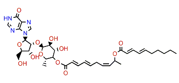 Shimofuridin G